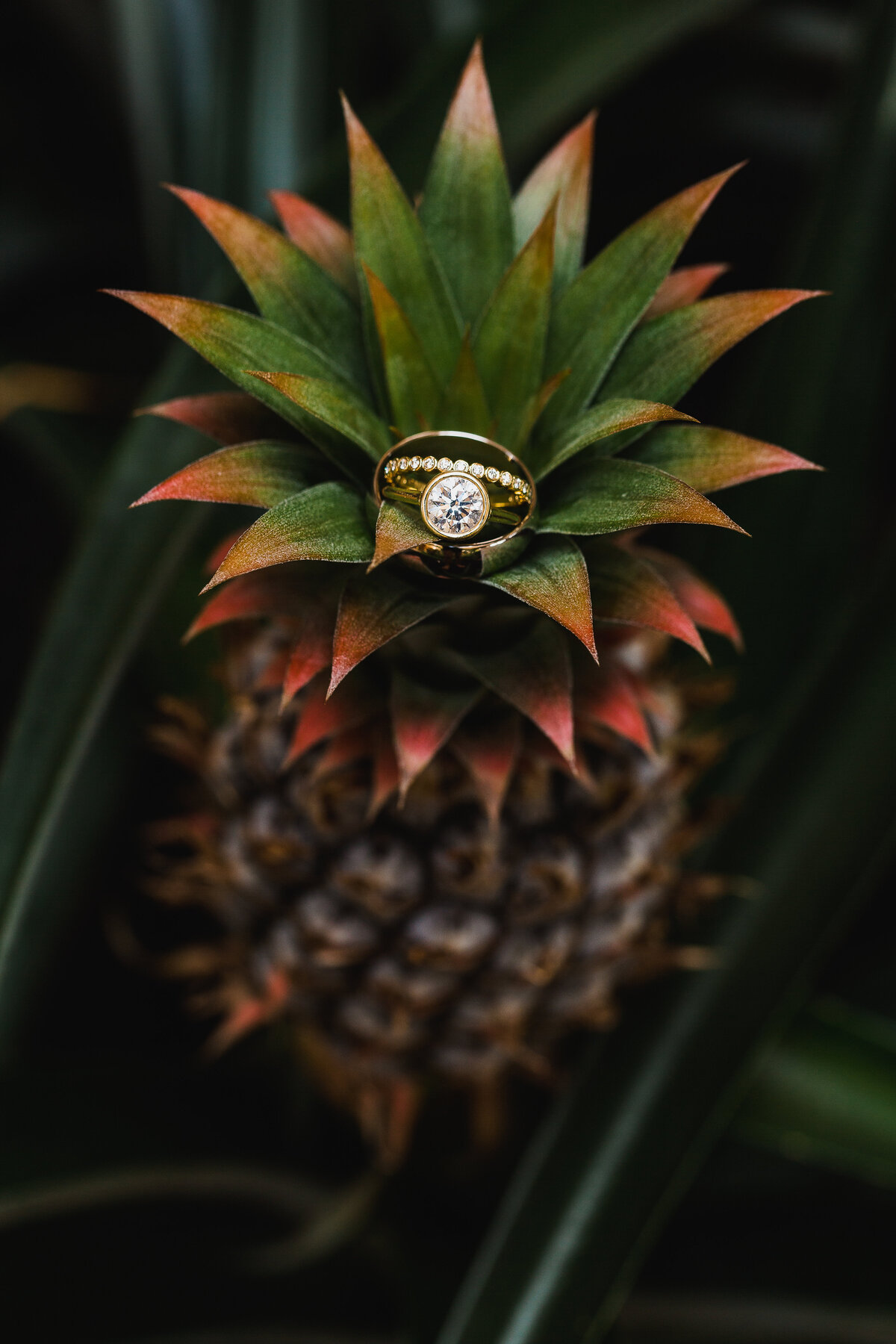 pineapple ring-1