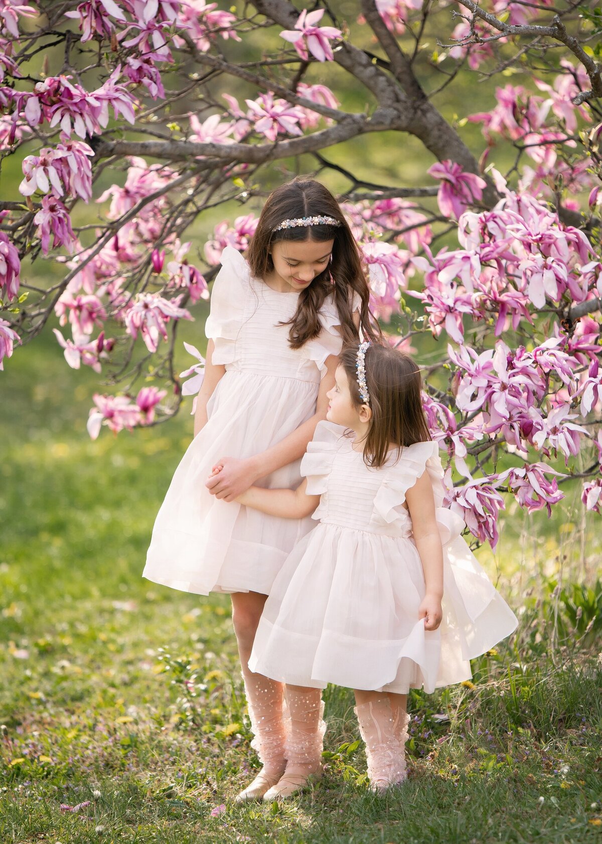 Sisters by Flowering Tree Family