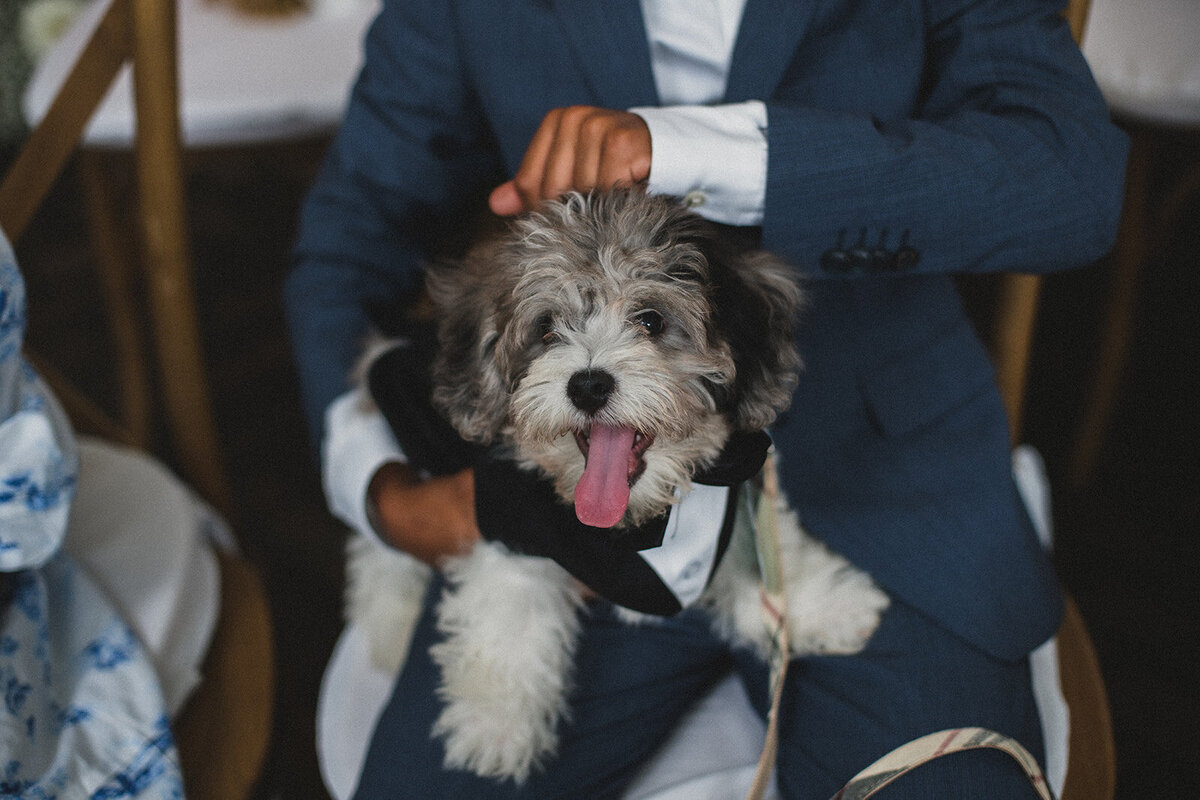 natalie-and-chris-wedding-zela-events-nyc-planning-and-design-212
