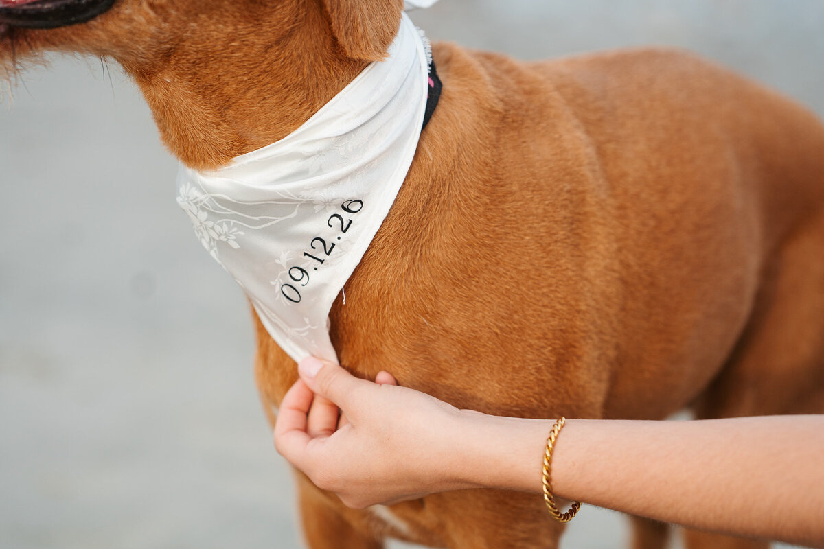 Candid ocean engagement portraits in New England with relaxed emotional storytelling