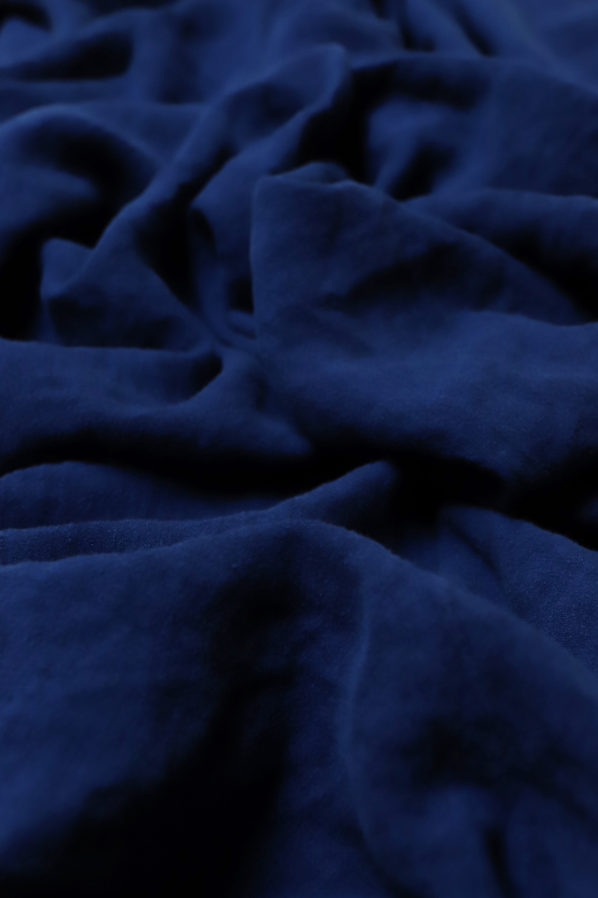 indigo plant dye