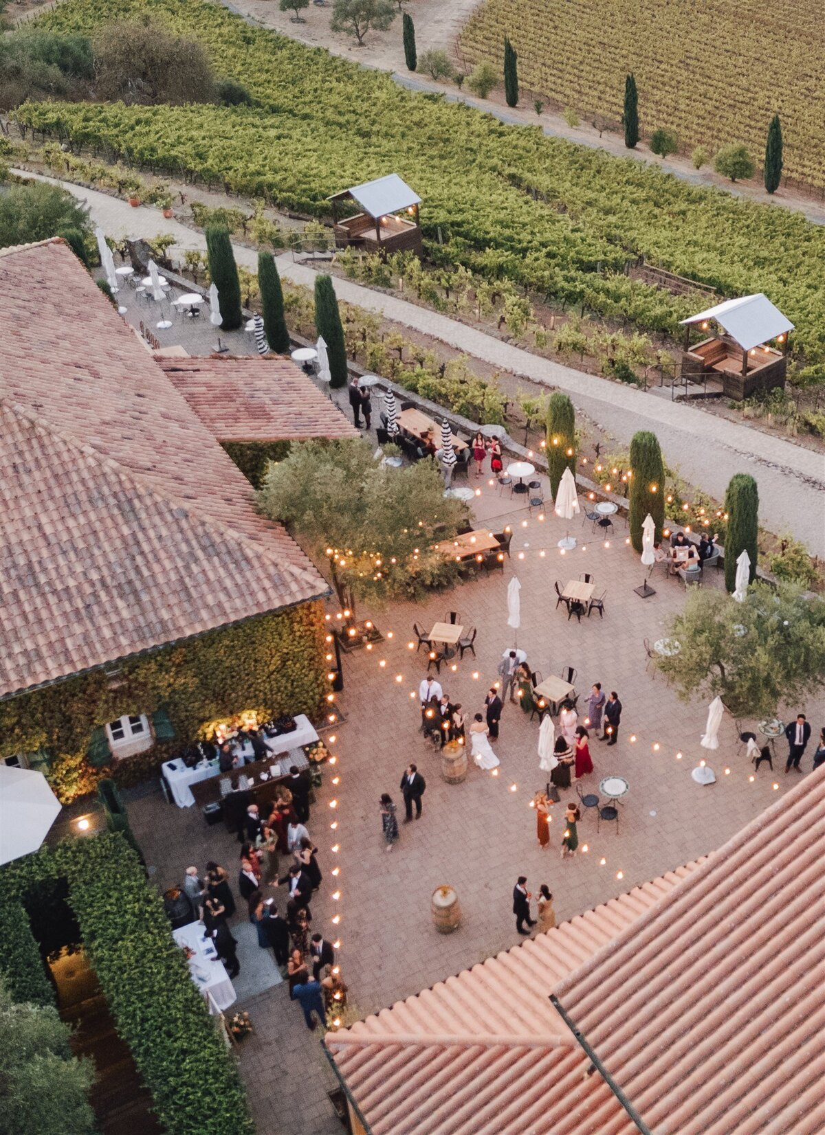 viansa-sonoma-wedding-annie-ben-ashley-carlascio-photography-0839