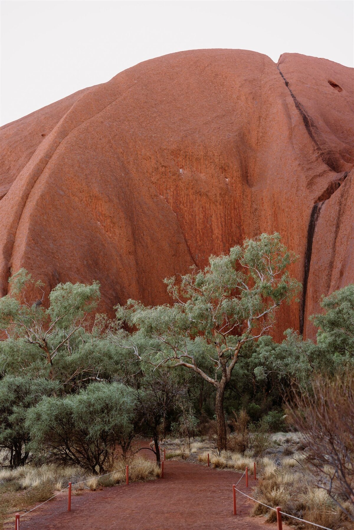 Uluru-Kata-Tjuta-25
