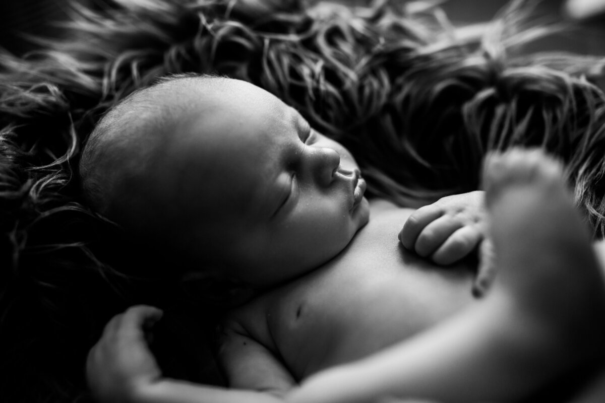Black and white newborn posed in a basket in Harrisonburg, VA
