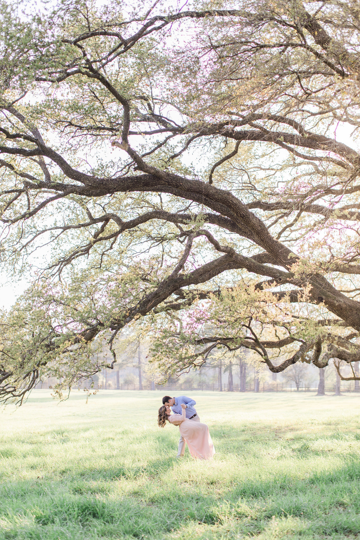 An Engaged Couple Under an Oak Tree