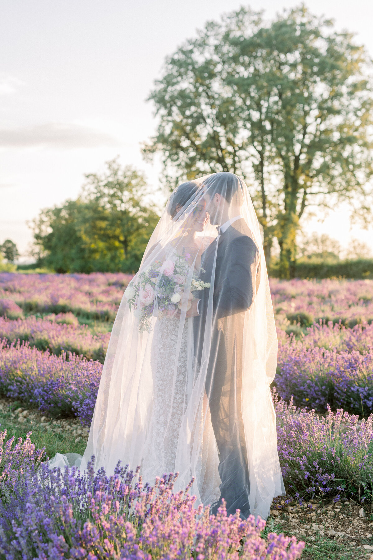 Romantic provence lavender photoshoot 