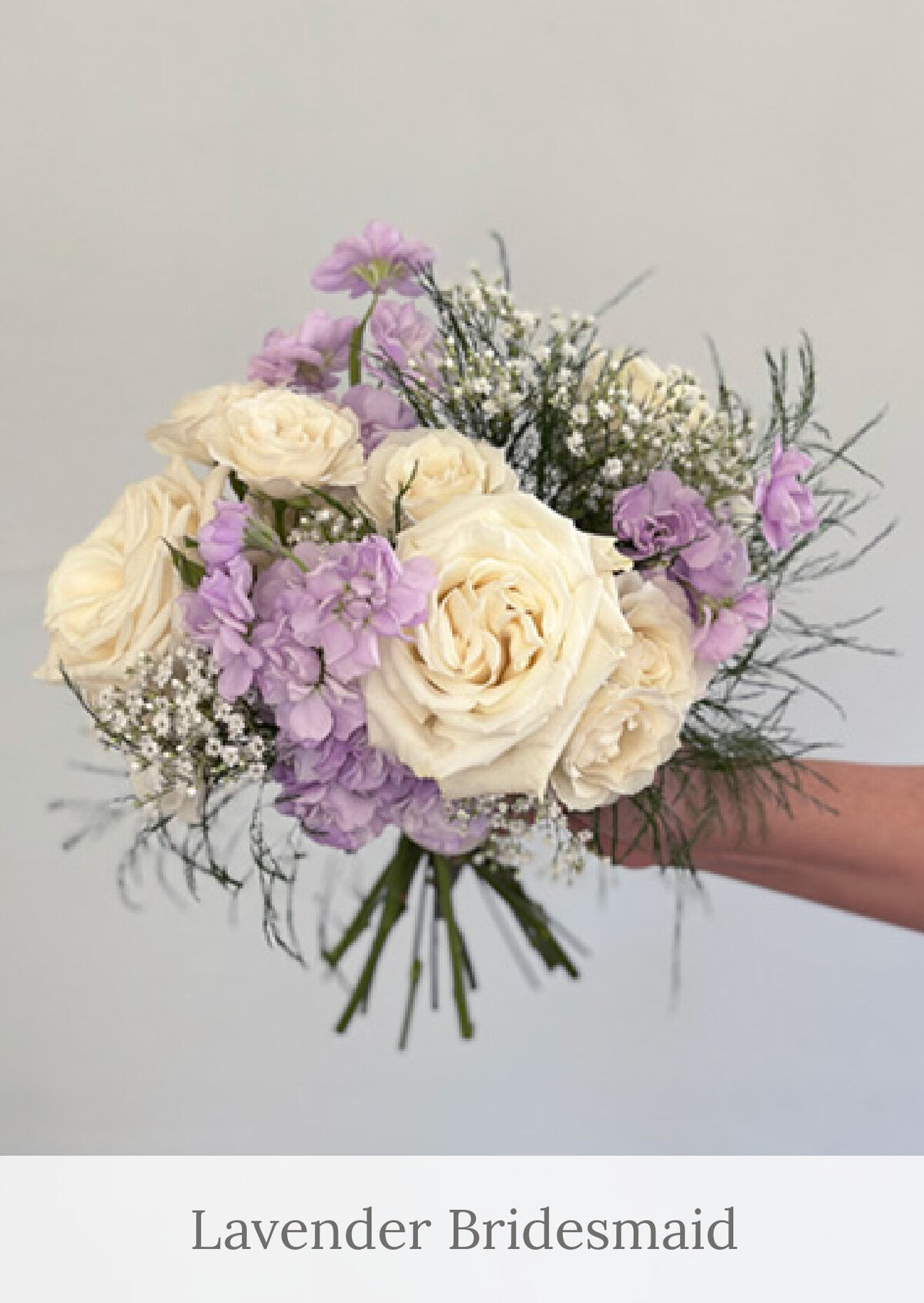 Lavender 
