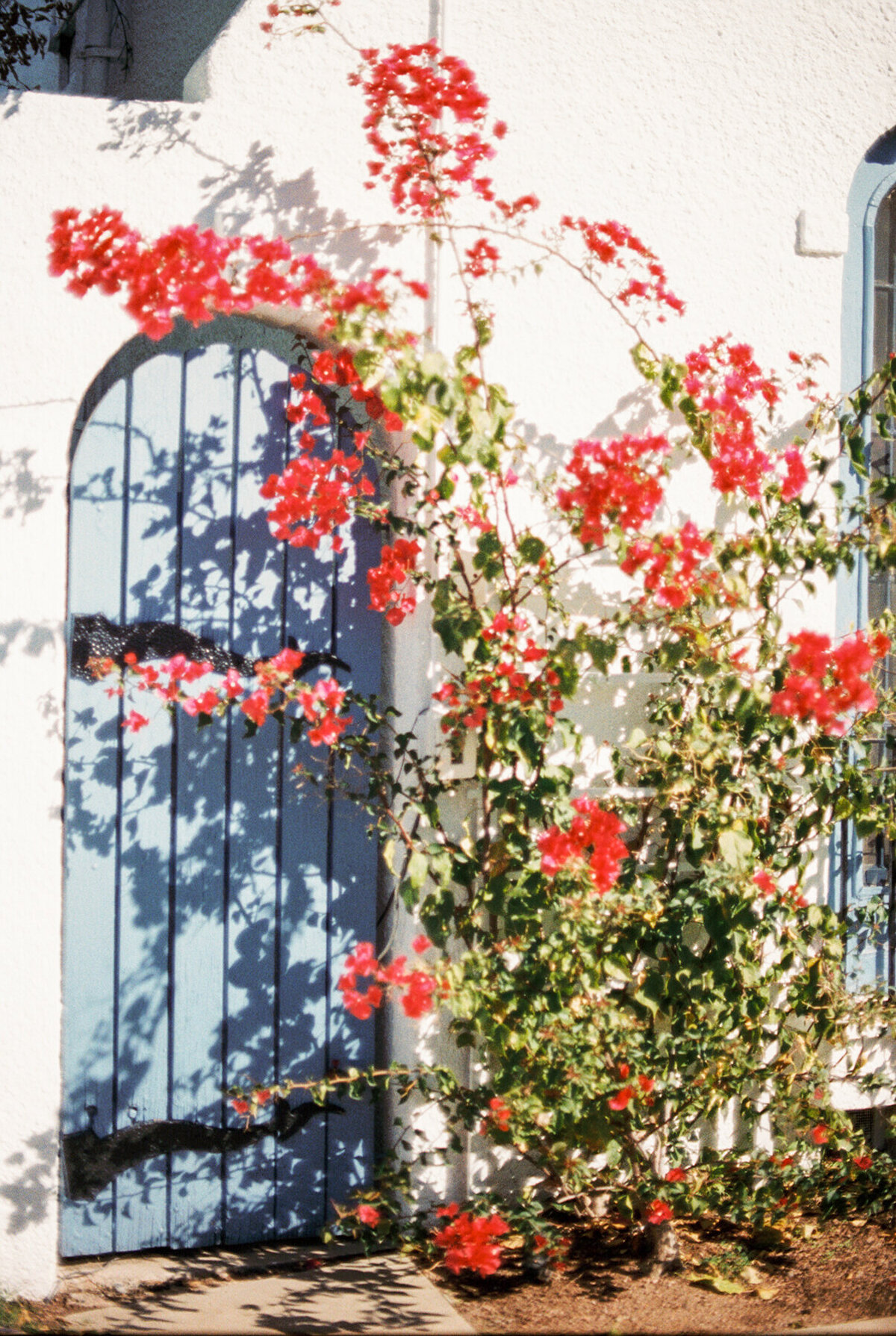 FilmPhotos-20