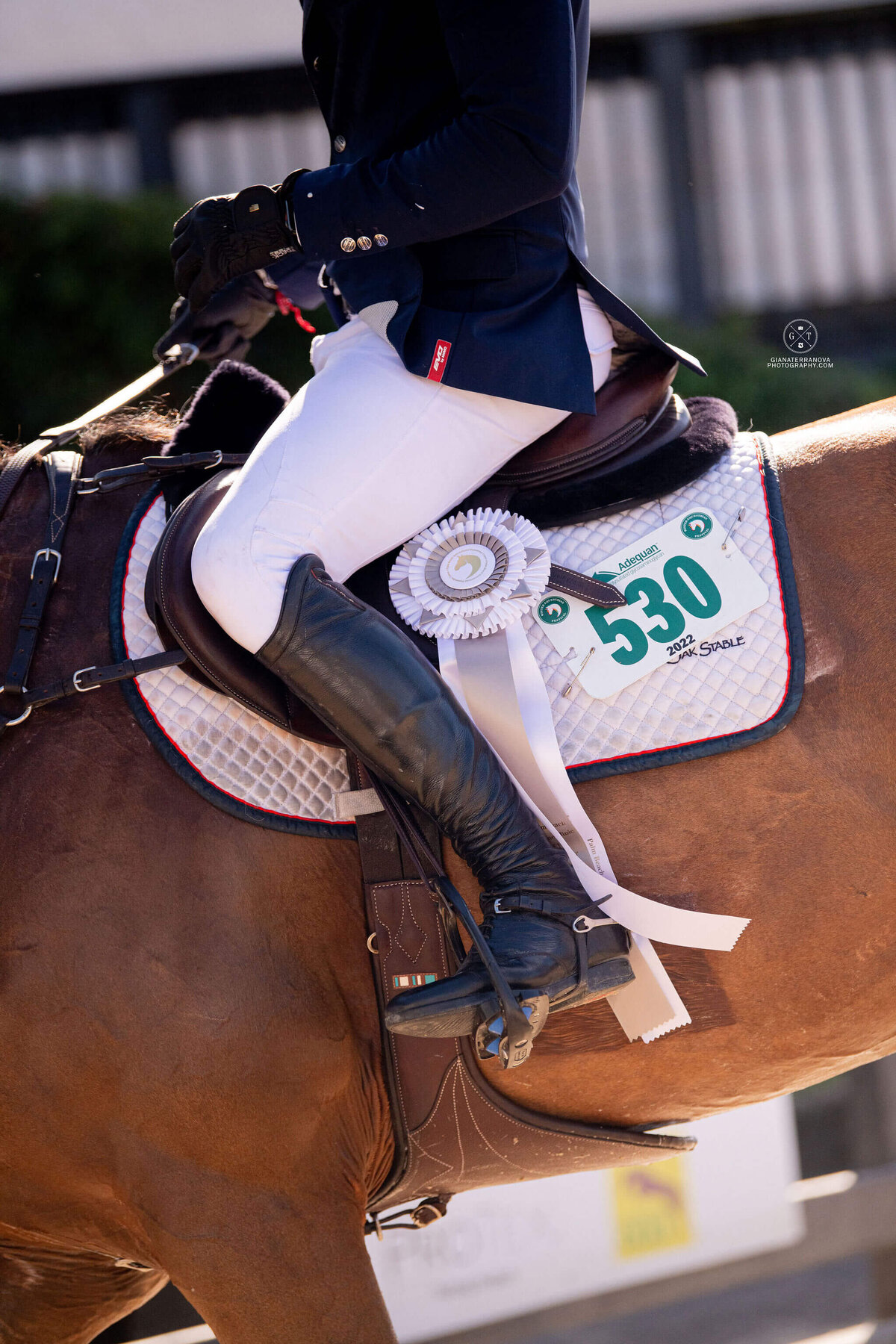 U.S. SHOWJUMPING TEAM_FLORIDA SHOWJUMPING COMPETITION_HATHERLY