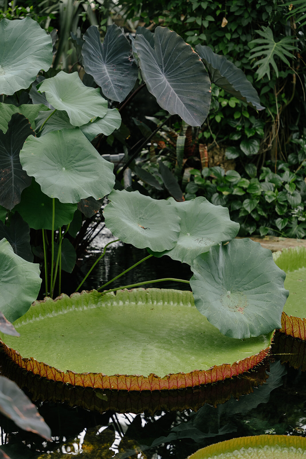 Attabara Studio UK Luxury Wedding Planner at Kew Gardens by Sasha Dove-387