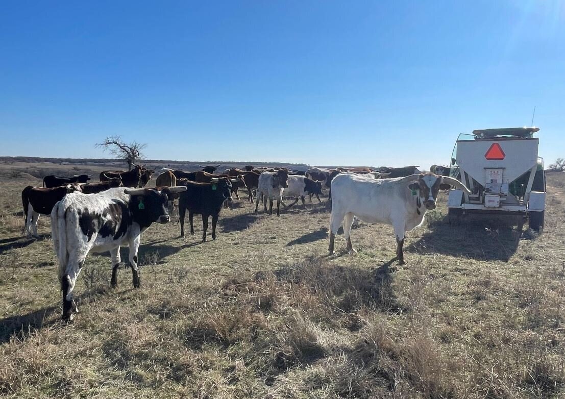 1040 Acre Working Ranch for sale in Duncan, OK - Stevens County