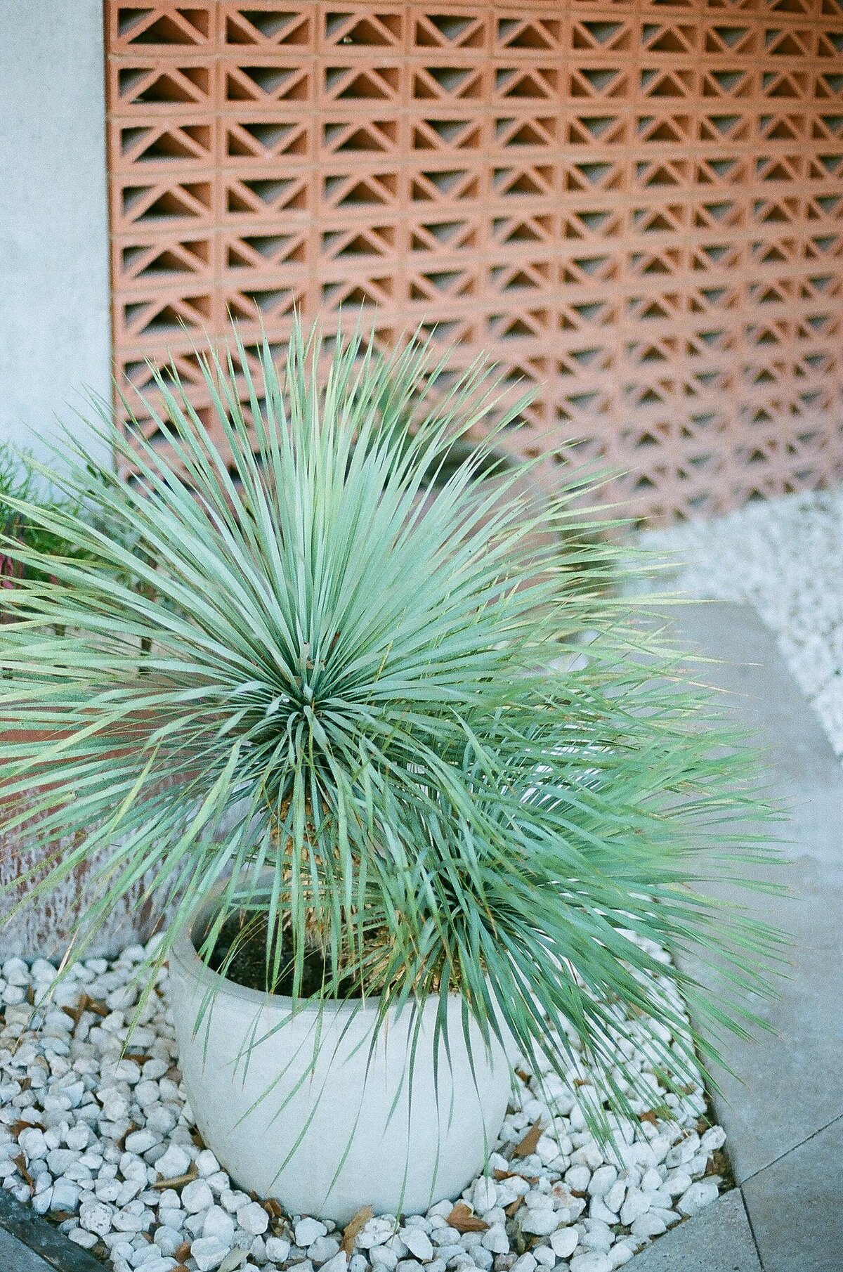 24_Austin Interiors Photographer_Austin Interior Design_Paige Vaughn Photo