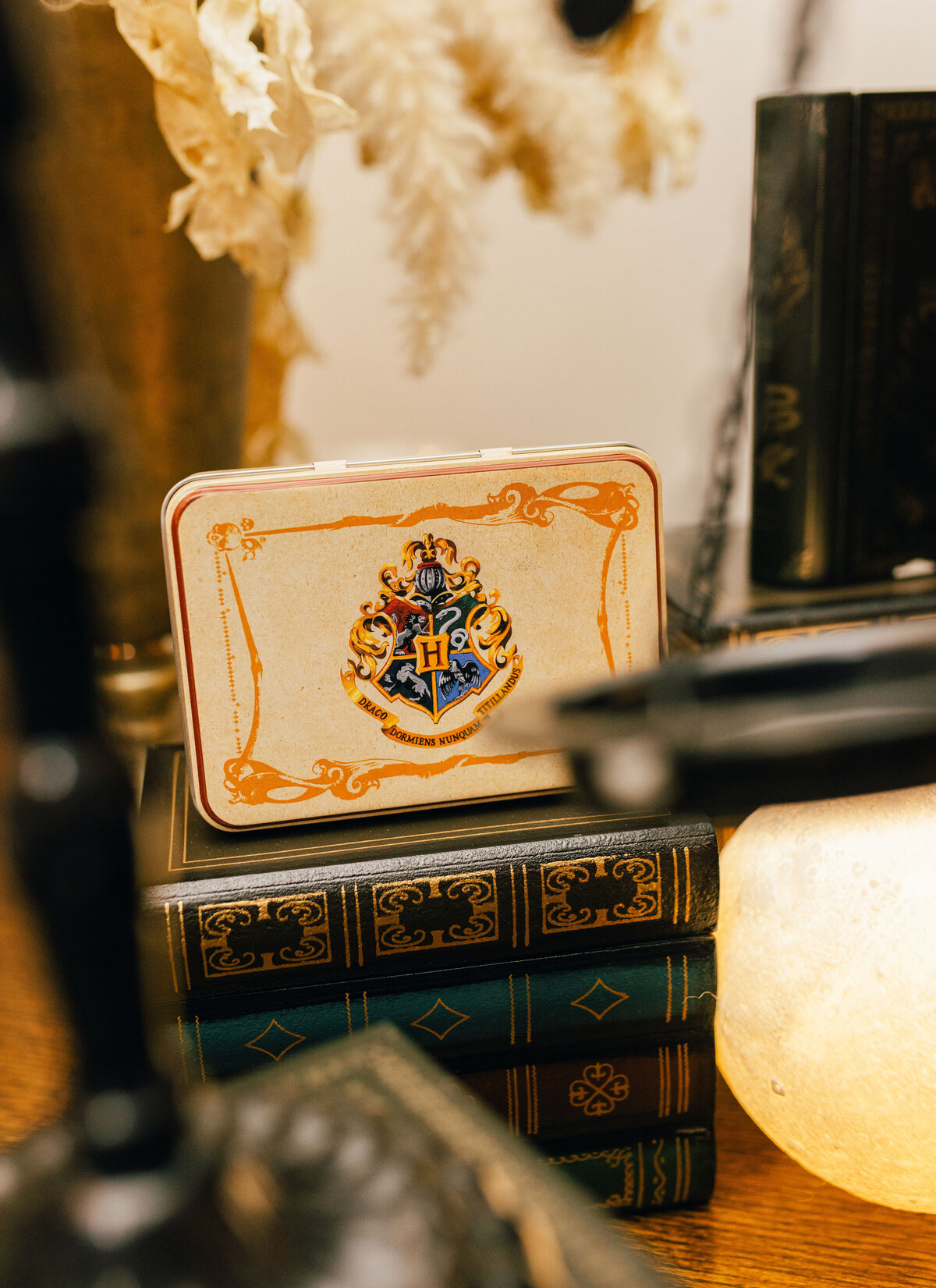 olivia-harry-potter-16