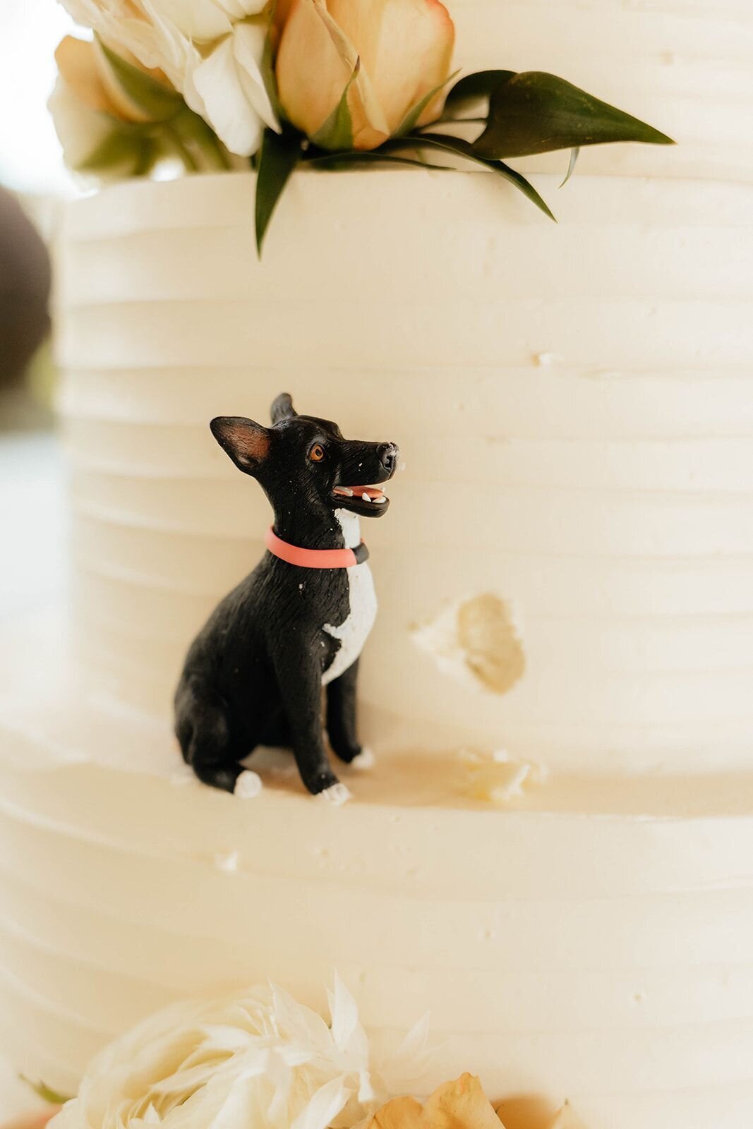 dog-eating-wedding-cake