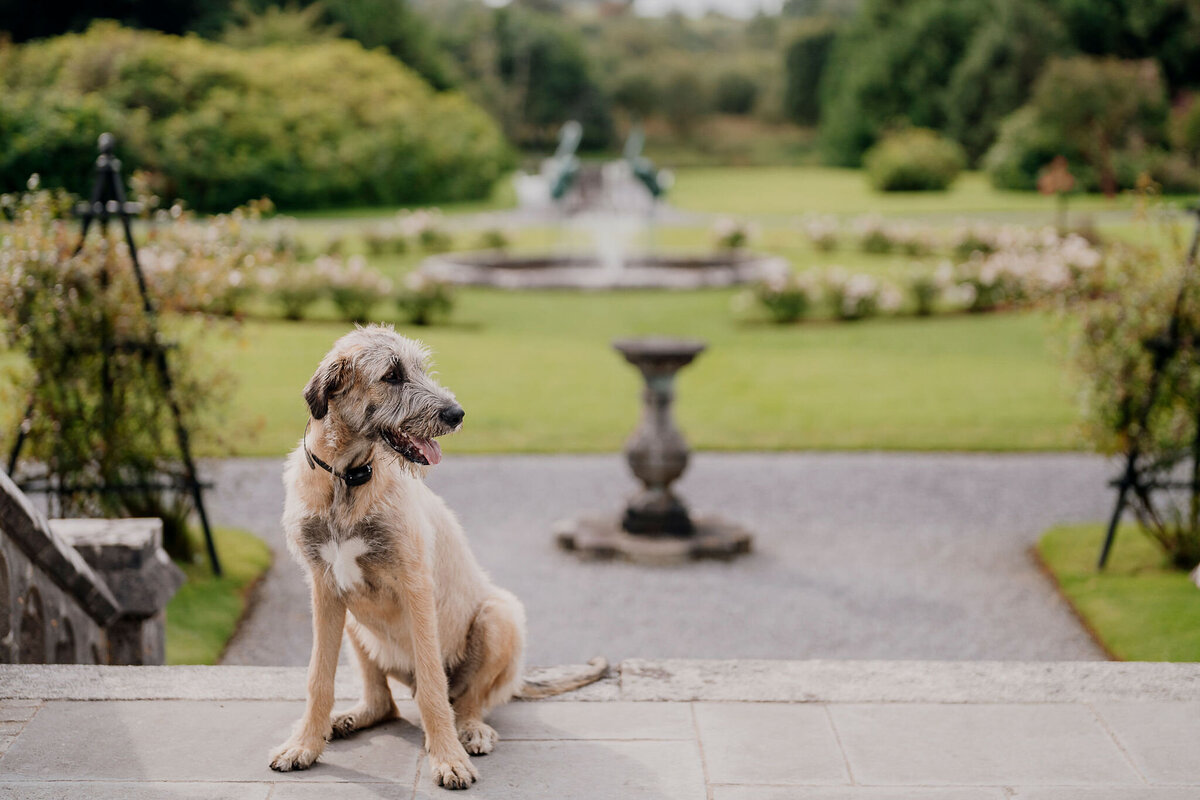 Melissa-Greg-Daniel_96