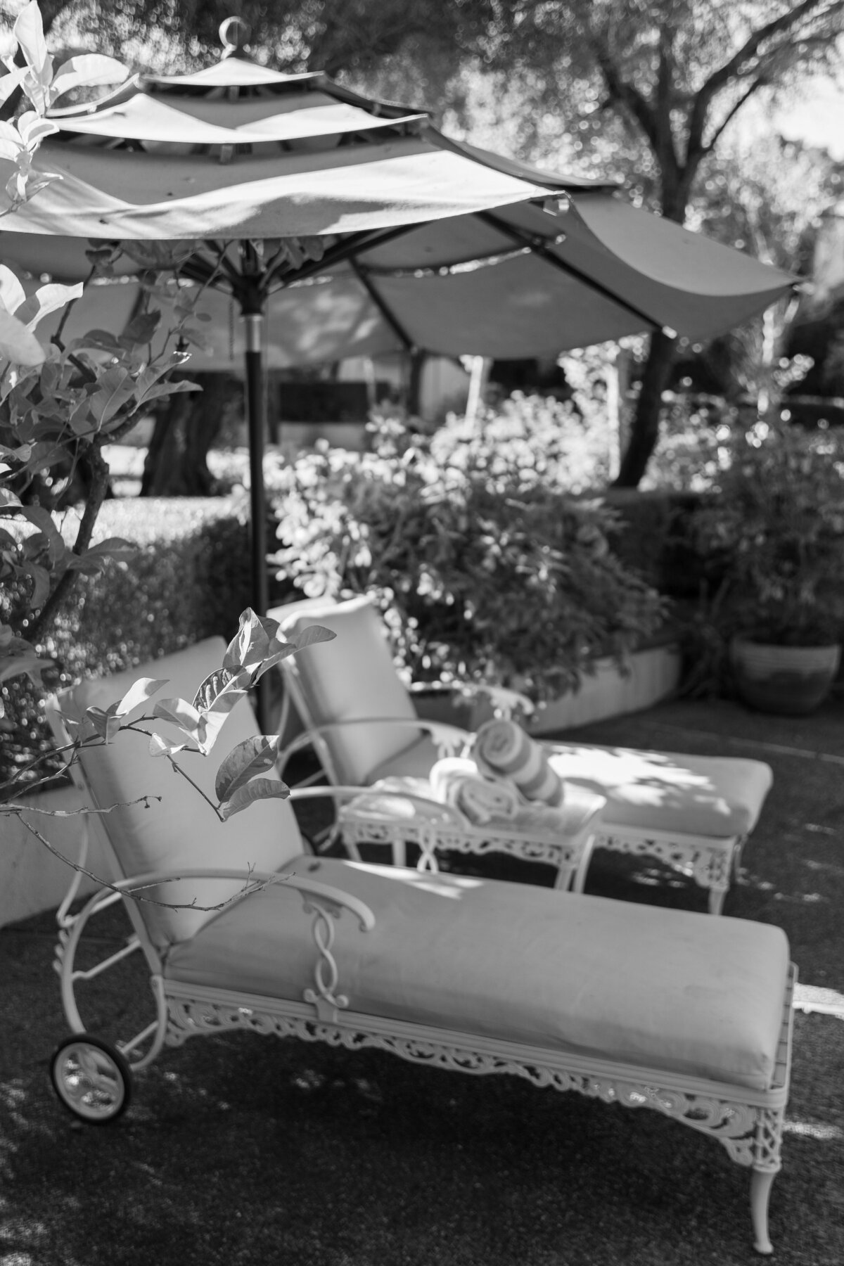 StonePine_Niki Rhodes Photo-910