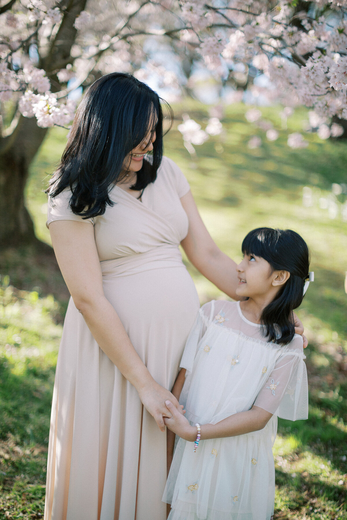 rochester ny cherry blossom family session
