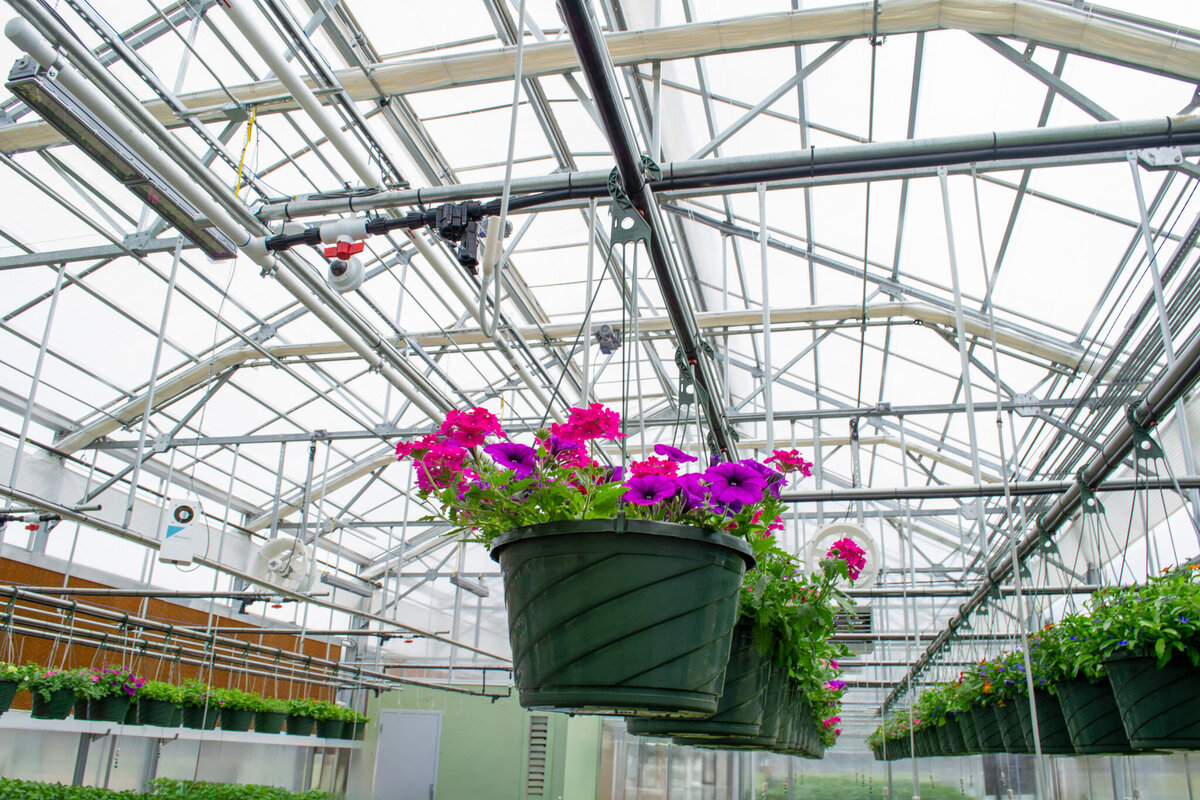 BRCC Greenhouse-11