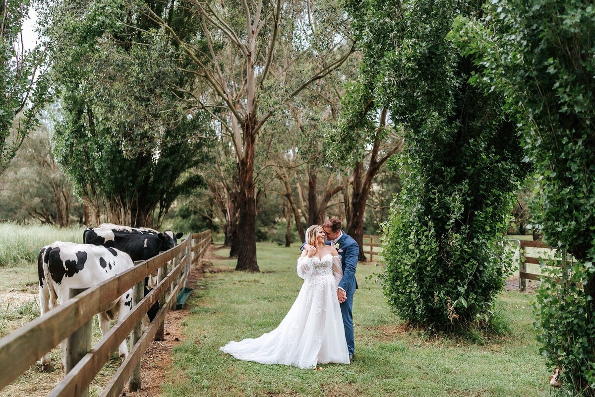 Elope-styled-micro-wedding-yarra-valley-elopement-flowerdale-estate-marriage51