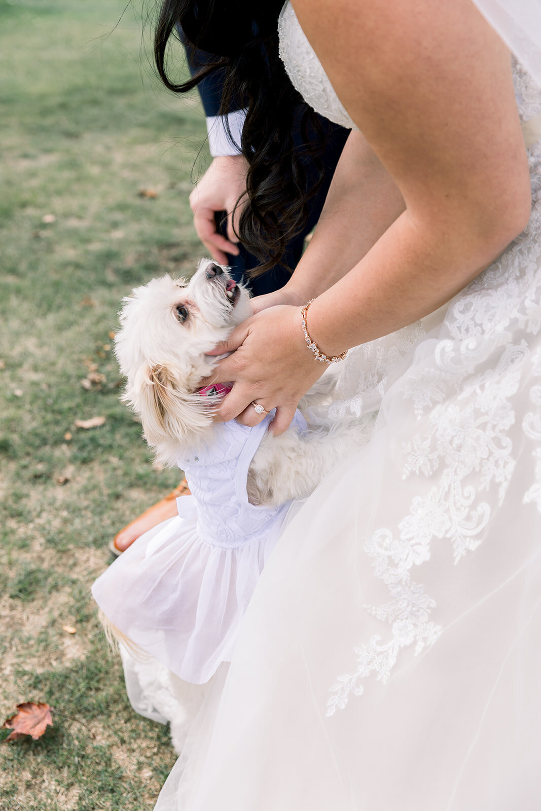 Detroit-Michigan-Wedding-Photographer-Kristi-and-Zack-10