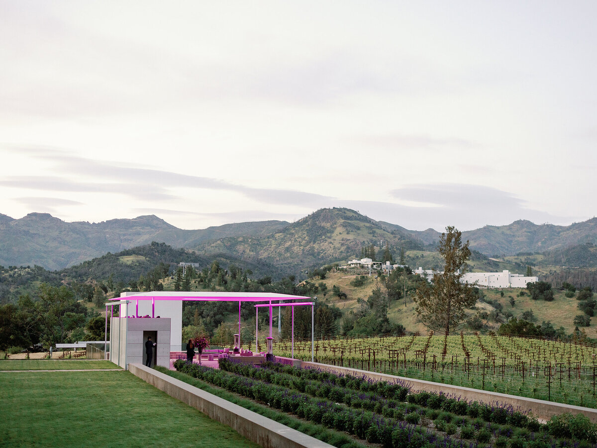 001-larissa-cleveland-laurie-arons-events-wedding-california-photographer-234