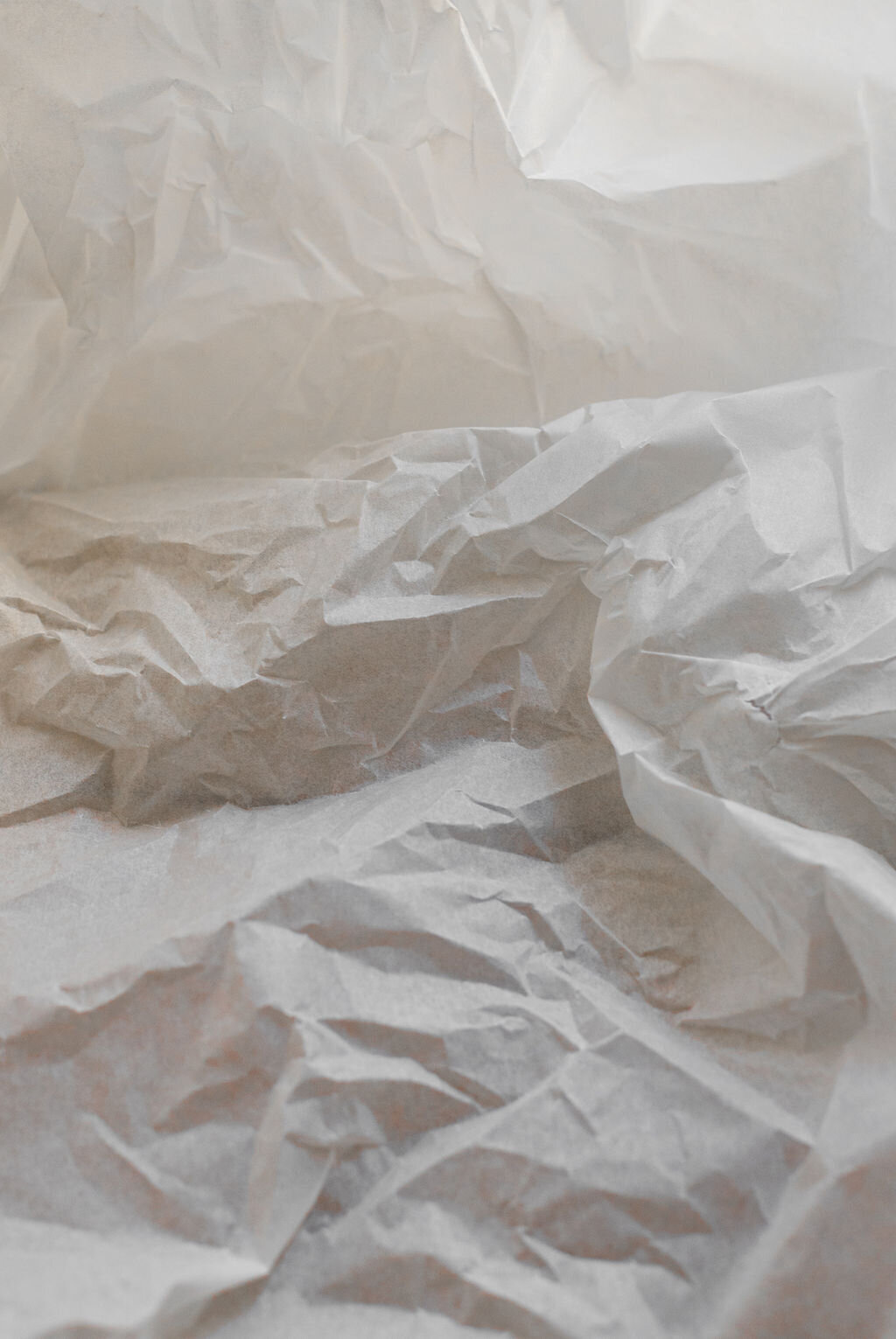 Aesthetic Stock Photography for Creatives19
