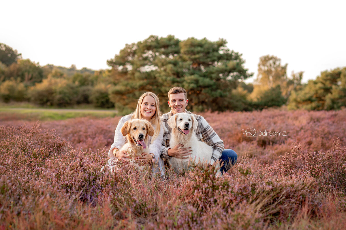 Goldenretriever-fotoshoot-limburg3