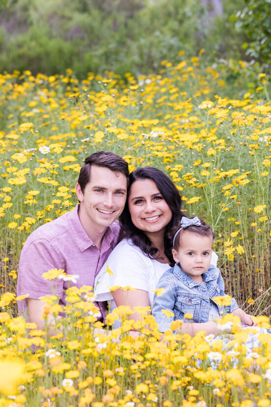 family-portrait-sitting-in-yellow-flowers-san-diego