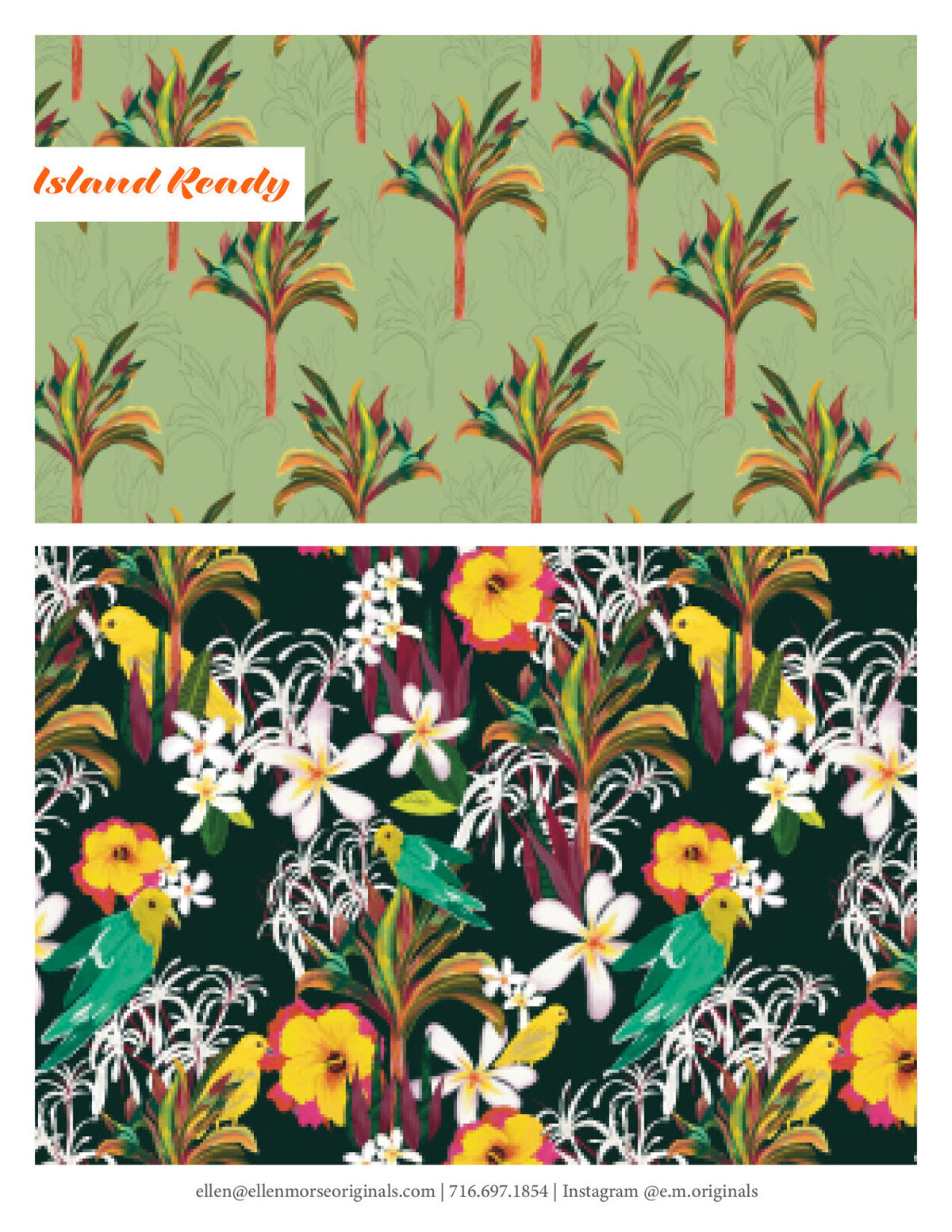 Ellen Morse tropics4