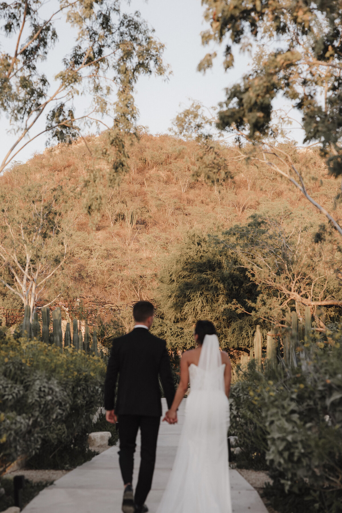 Cabo-Wedding-Planners-383