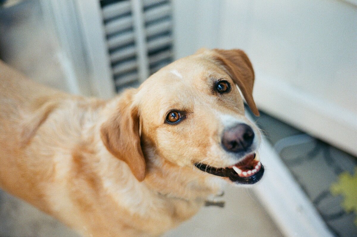 ClaraPortrait