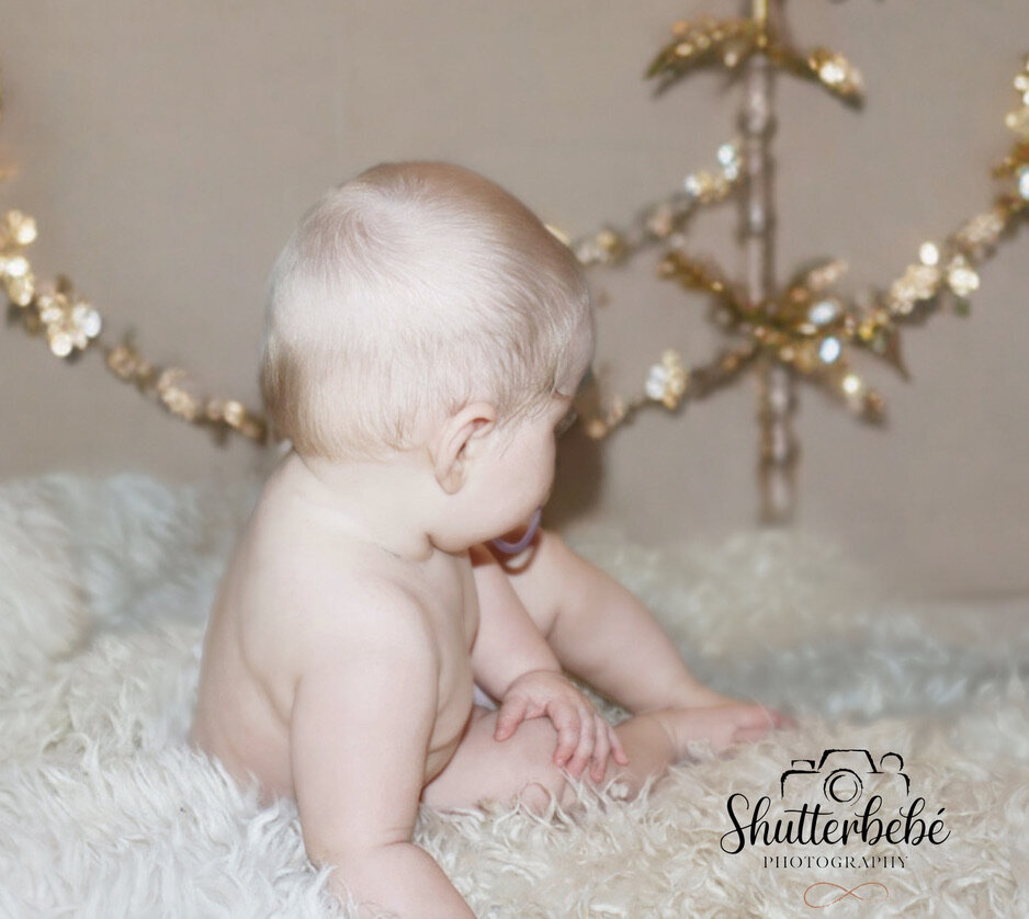 251E6DB8-FB6F-46F5-8792-CC1037EC74D9_1_105_c