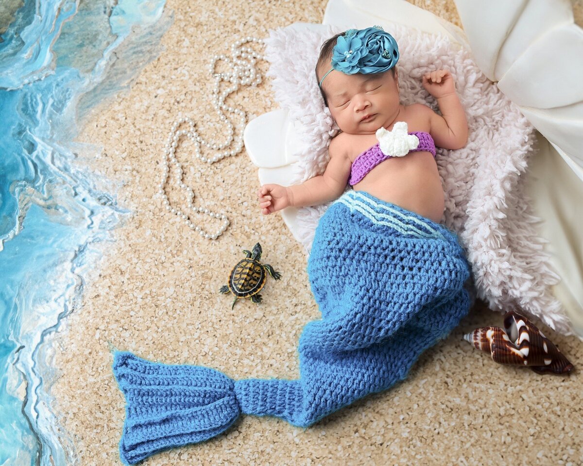 denver-newborn-photographer-45534341032