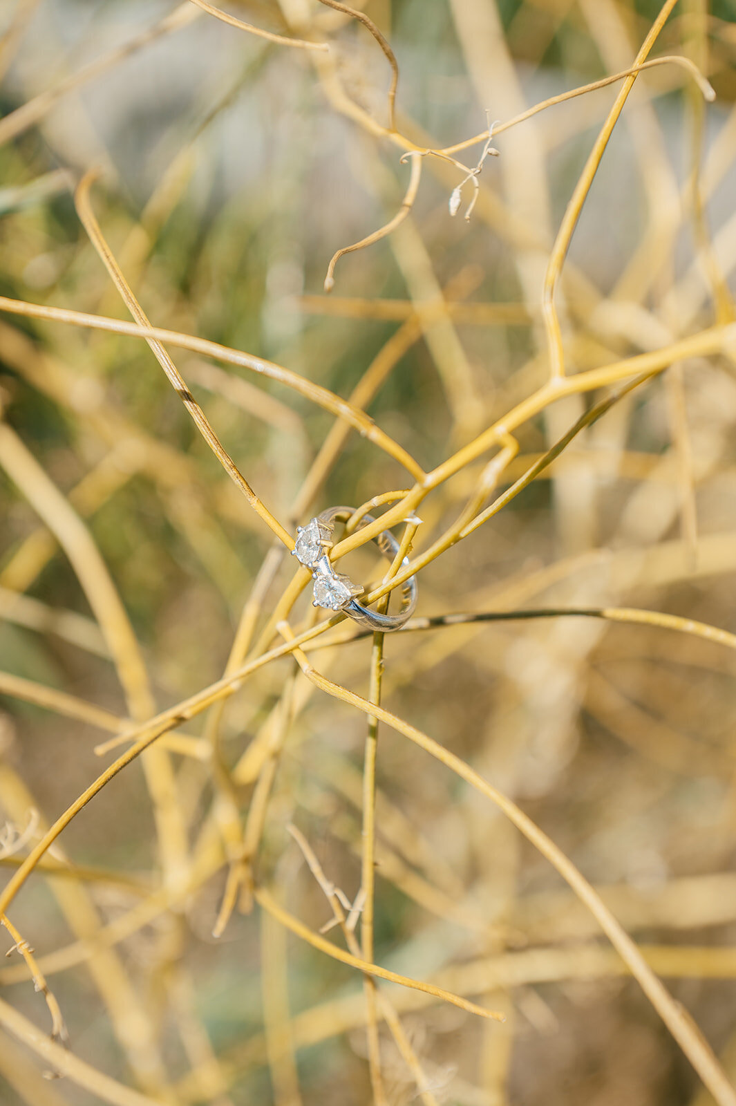 presley-gray-photo-haybale-forest-montana-elopement-7722
