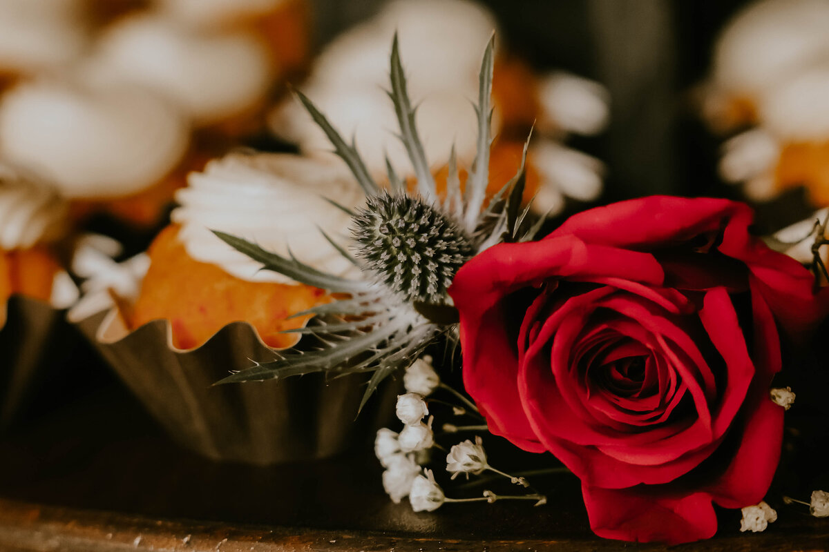 New Jersey Wedding Photographer