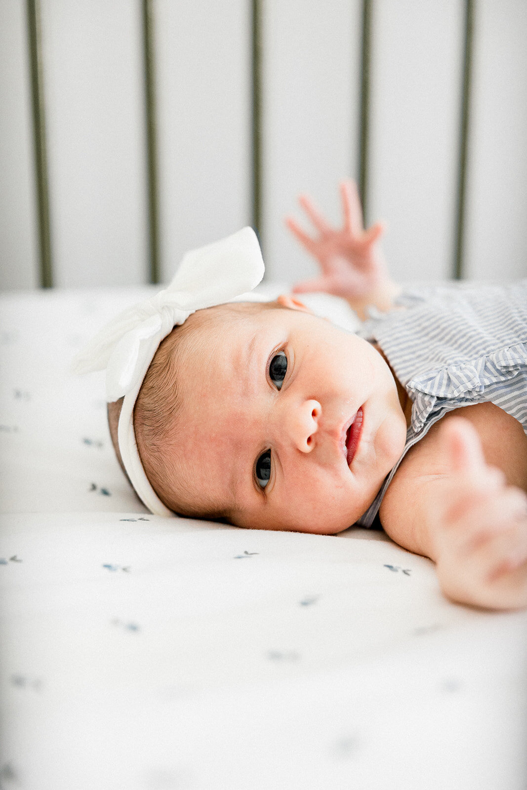 In Home Newborn 2024_Alexis Fox Photography + Westfield + Indiana + In Home + Newborn (11 of 88)