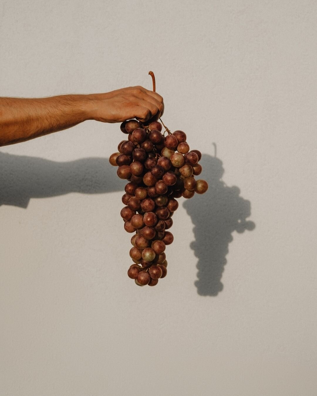 55c36e50b45faf869e273124de12fc74