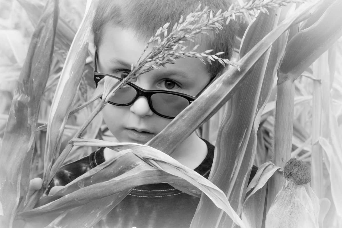 colton face in the corn