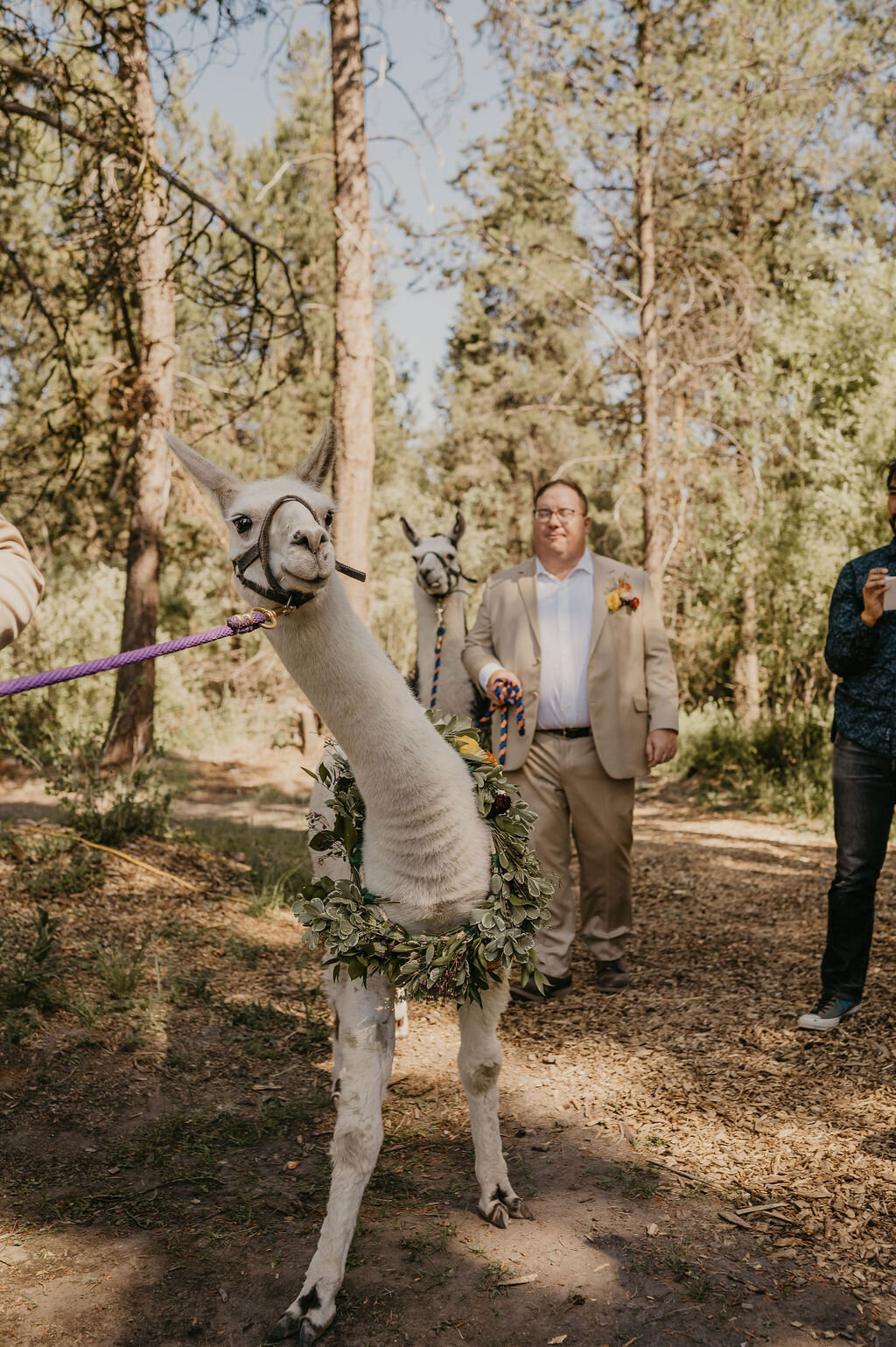 Kirsten+Phil-525