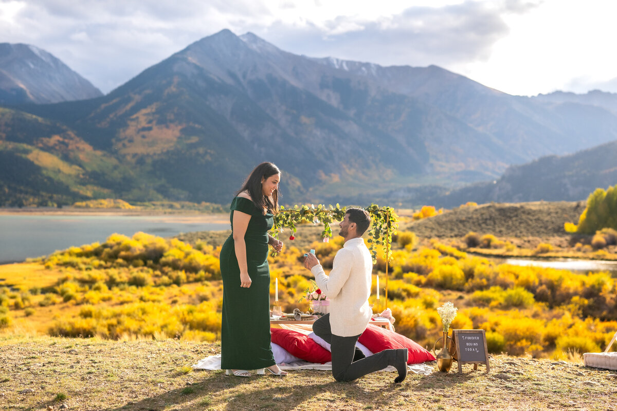 Swati and Anisha Proposal-40