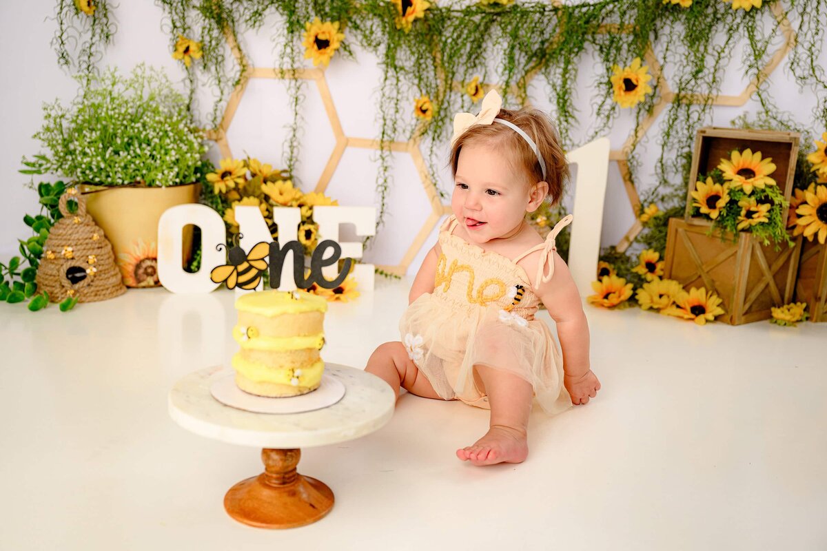 Tobis-Timeless-Treasures-Charlotte-NC-Milestone-Photographer-Cake-Smash-73