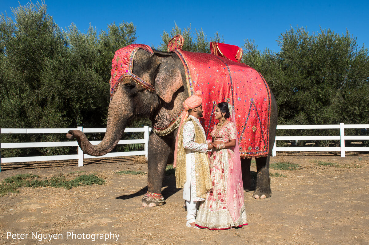 Wedding at Saddlerock Ranch, Malibu