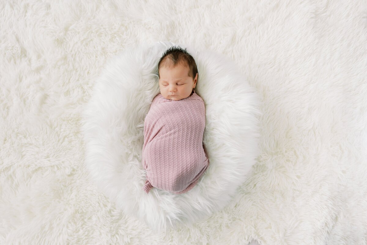 Yang Newborn Session-2024-252