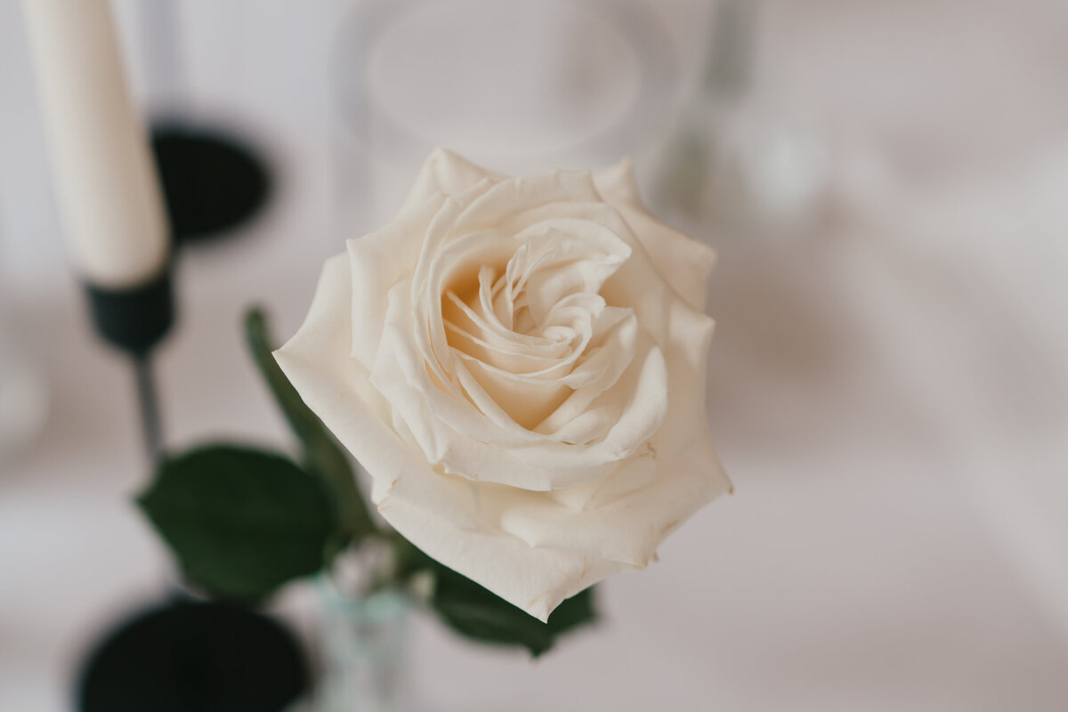 grace-dove-photography-eastington-park-wedding (36)