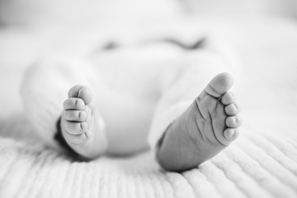 Baby Finley Sweet Connolly Photography 184