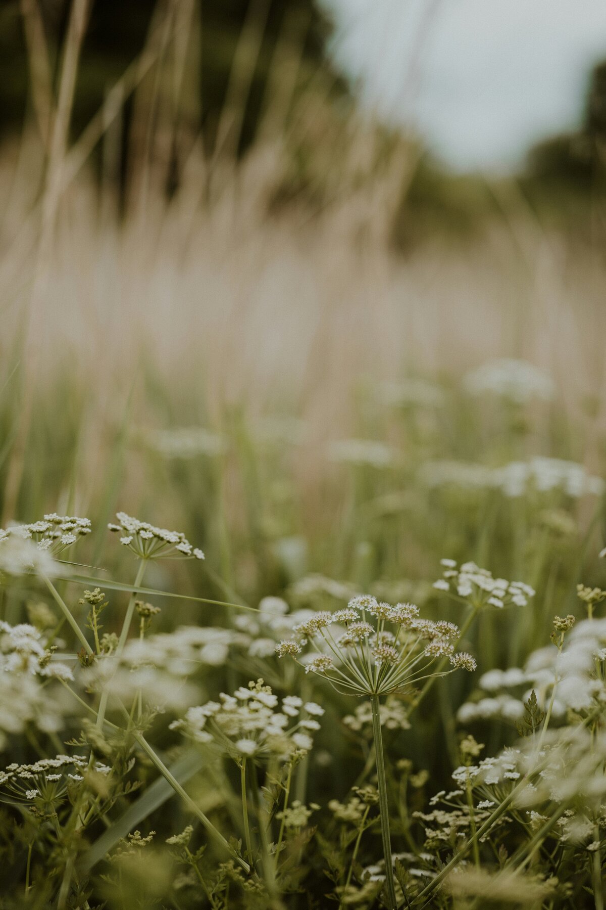 annie-spratt-_yJeVsA62Bo-unsplash