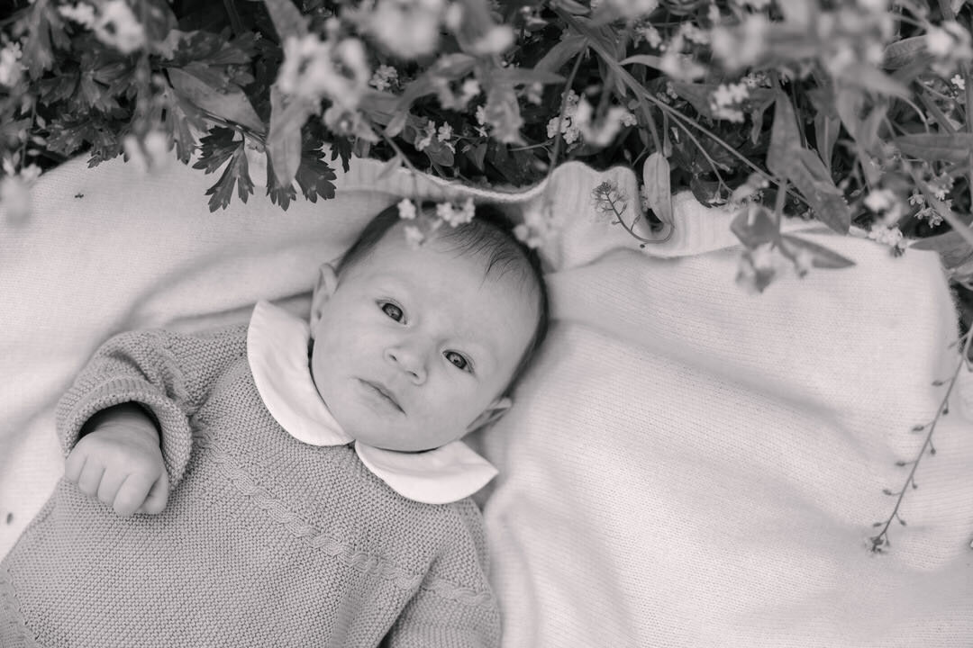 San Francisco Family Photographer Alyx Jones53