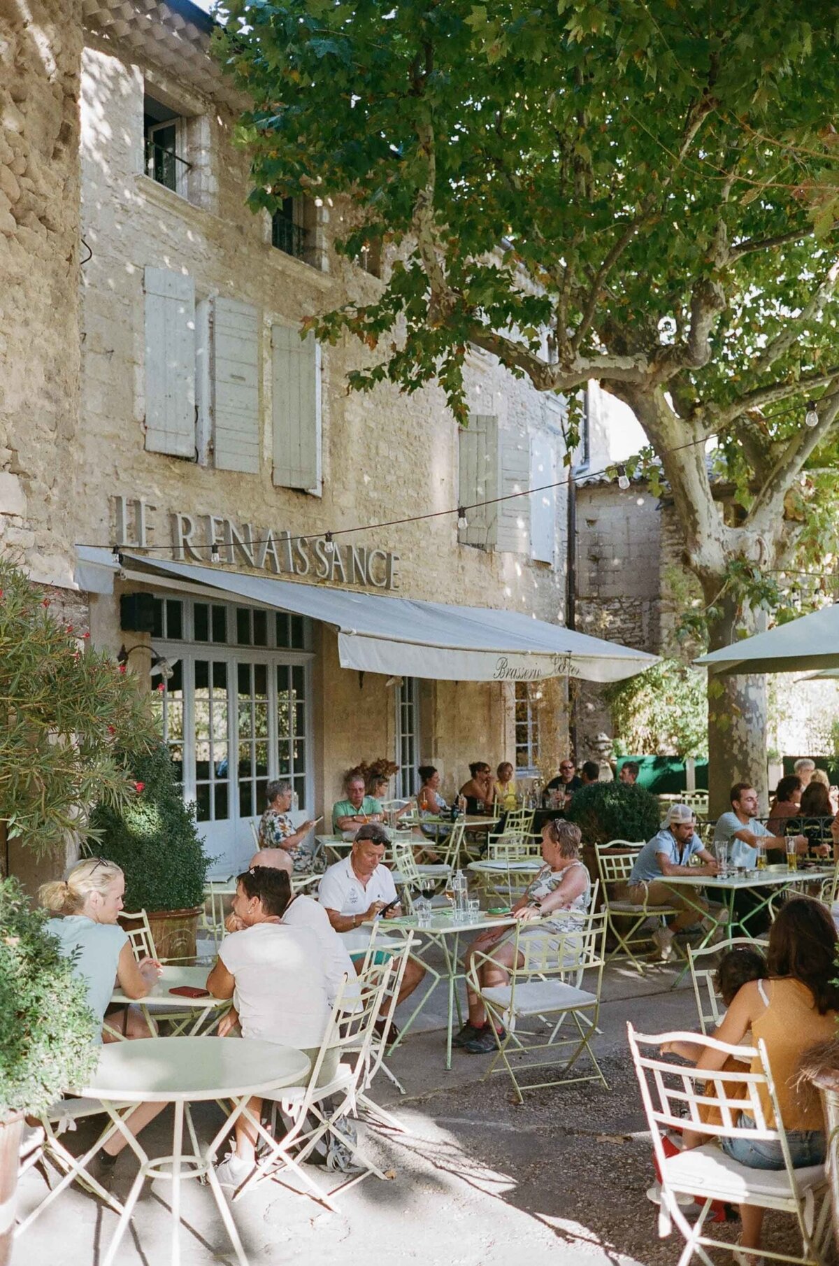 Provence-Film-Photographer-France-Destination-Wedding-Molly-Carr-Photography-1-scaled