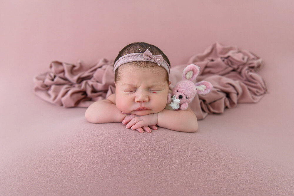 newborn girl on pink background holding a pink bunny for her Hamilton photos.