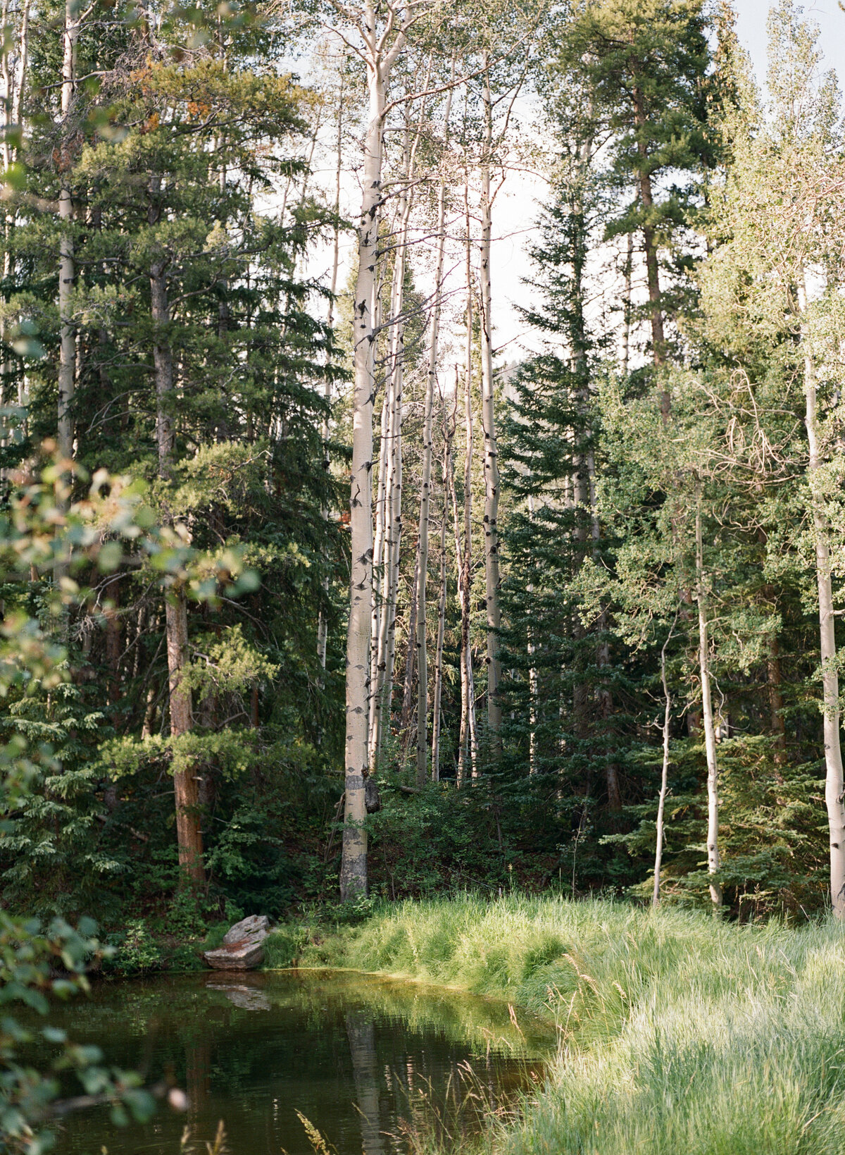 Louise and Dawson - Eaton Ranch - Colorado-373